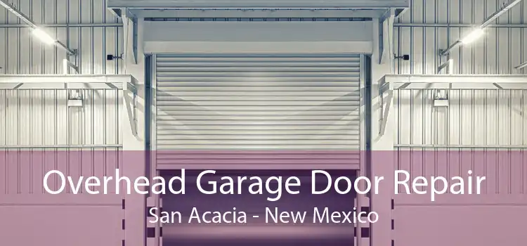 Overhead Garage Door Repair San Acacia - New Mexico