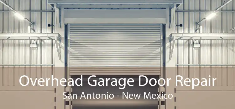 Overhead Garage Door Repair San Antonio - New Mexico