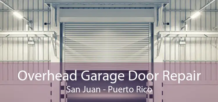 Overhead Garage Door Repair San Juan - Puerto Rico