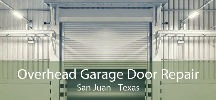 Overhead Garage Door Repair San Juan - Texas