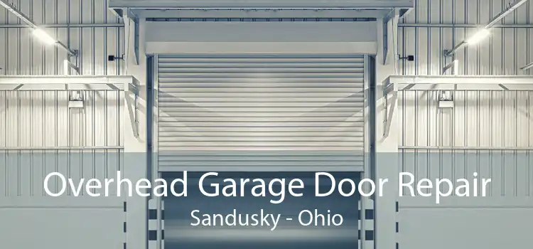 Overhead Garage Door Repair Sandusky - Ohio