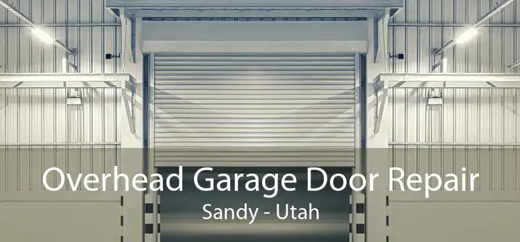 Overhead Garage Door Repair Sandy - Utah