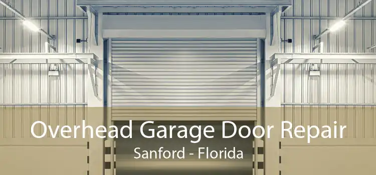 Overhead Garage Door Repair Sanford - Florida