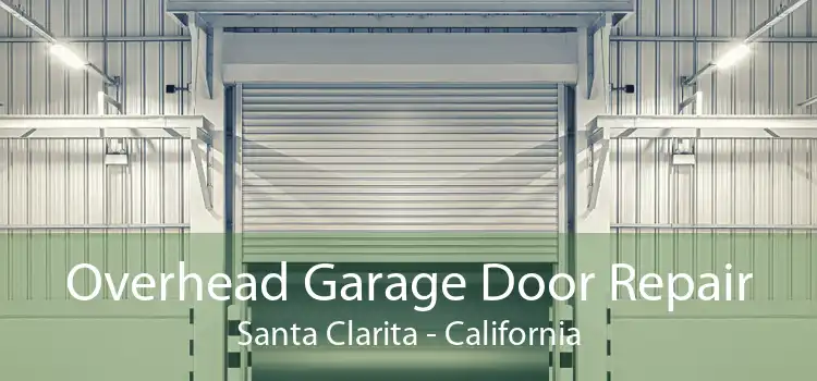 Overhead Garage Door Repair Santa Clarita - California