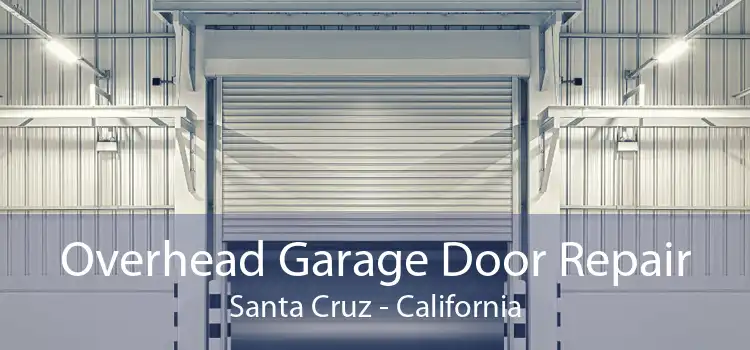 Overhead Garage Door Repair Santa Cruz - California