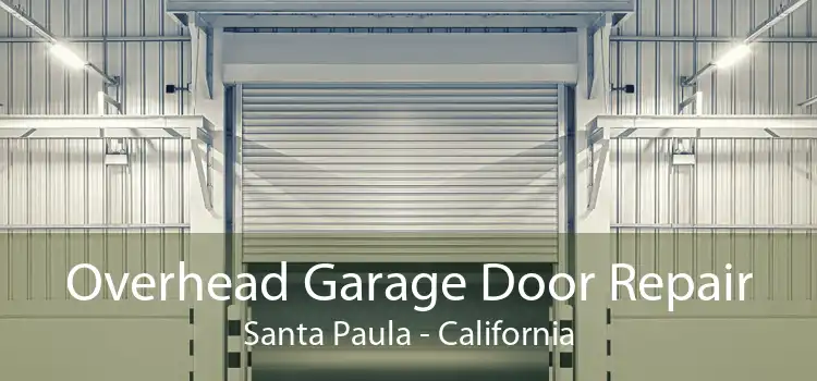 Overhead Garage Door Repair Santa Paula - California