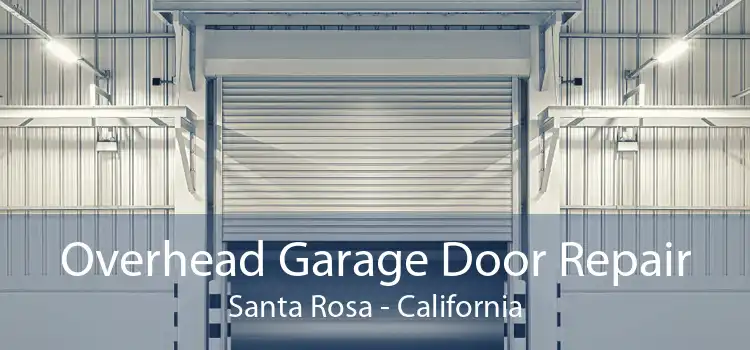 Overhead Garage Door Repair Santa Rosa - California