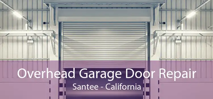 Overhead Garage Door Repair Santee - California