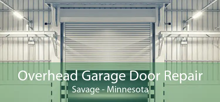 Overhead Garage Door Repair Savage - Minnesota