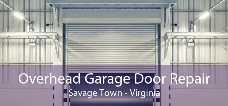 Overhead Garage Door Repair Savage Town - Virginia