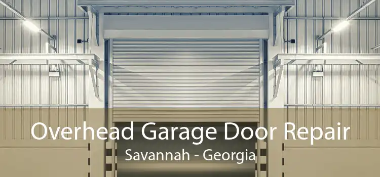 Overhead Garage Door Repair Savannah - Georgia