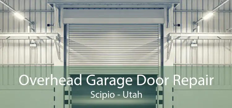 Overhead Garage Door Repair Scipio - Utah