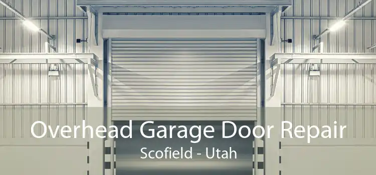 Overhead Garage Door Repair Scofield - Utah