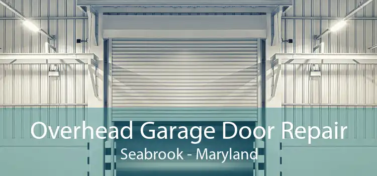 Overhead Garage Door Repair Seabrook - Maryland