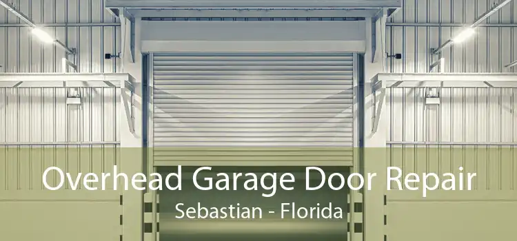 Overhead Garage Door Repair Sebastian - Florida