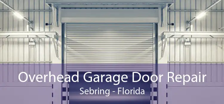 Overhead Garage Door Repair Sebring - Florida