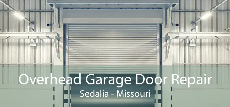 Overhead Garage Door Repair Sedalia - Missouri