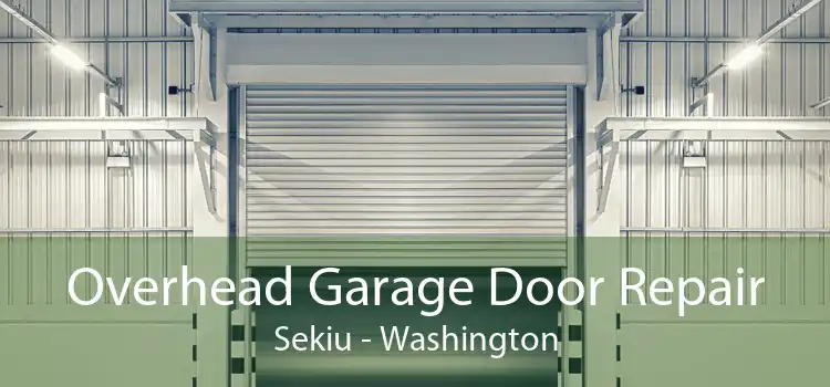 Overhead Garage Door Repair Sekiu - Washington
