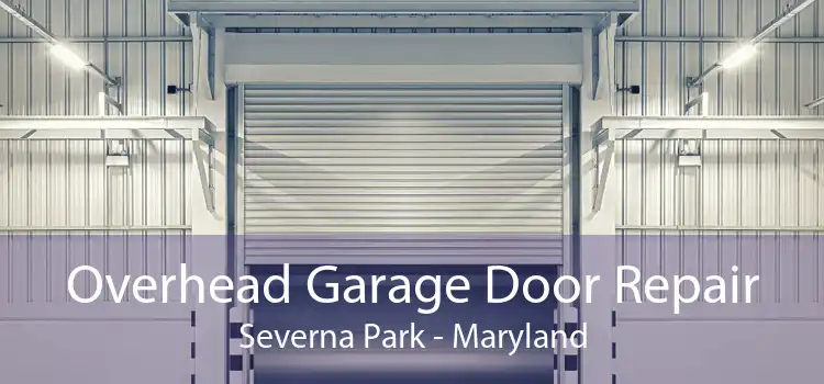 Overhead Garage Door Repair Severna Park - Maryland