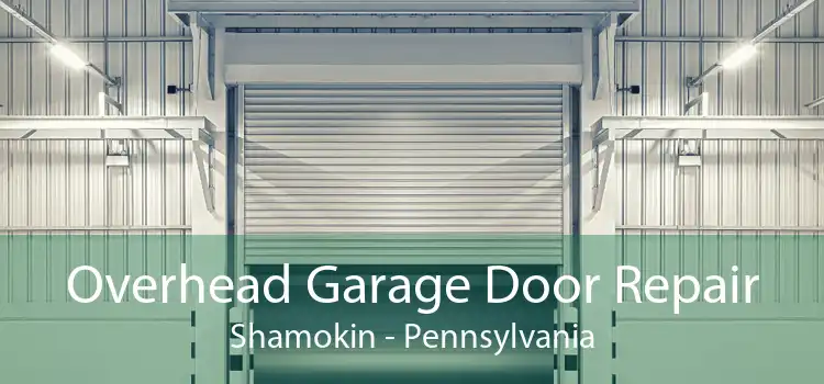 Overhead Garage Door Repair Shamokin - Pennsylvania