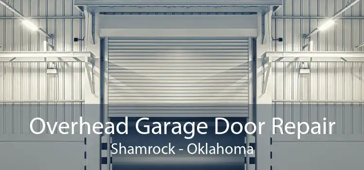 Overhead Garage Door Repair Shamrock - Oklahoma
