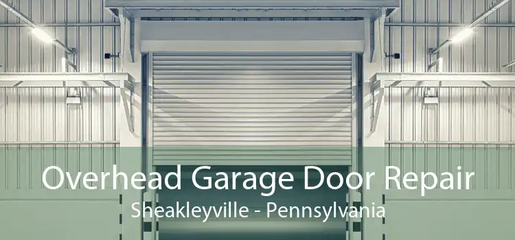 Overhead Garage Door Repair Sheakleyville - Pennsylvania
