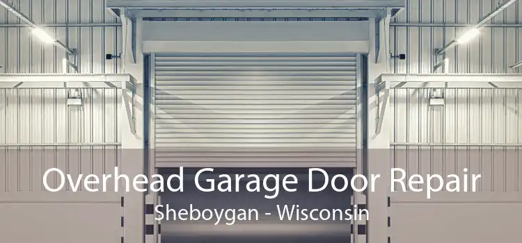 Overhead Garage Door Repair Sheboygan - Wisconsin