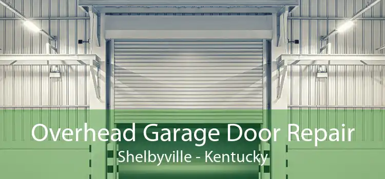 Overhead Garage Door Repair Shelbyville - Kentucky