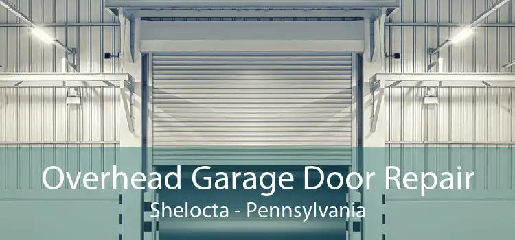 Overhead Garage Door Repair Shelocta - Pennsylvania