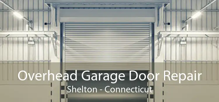 Overhead Garage Door Repair Shelton - Connecticut