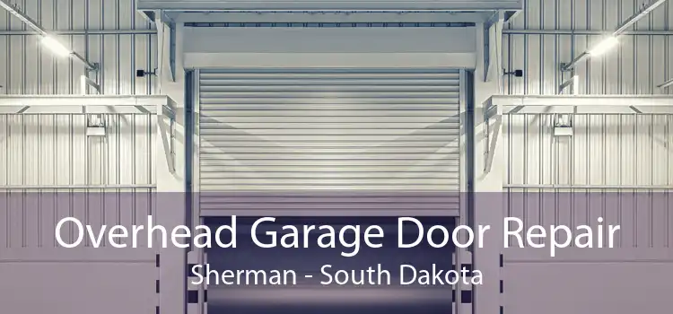 Overhead Garage Door Repair Sherman - South Dakota
