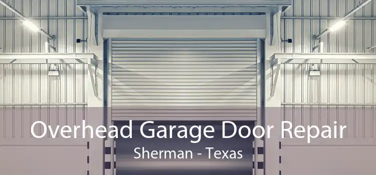 Overhead Garage Door Repair Sherman - Texas