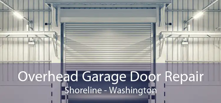 Overhead Garage Door Repair Shoreline - Washington