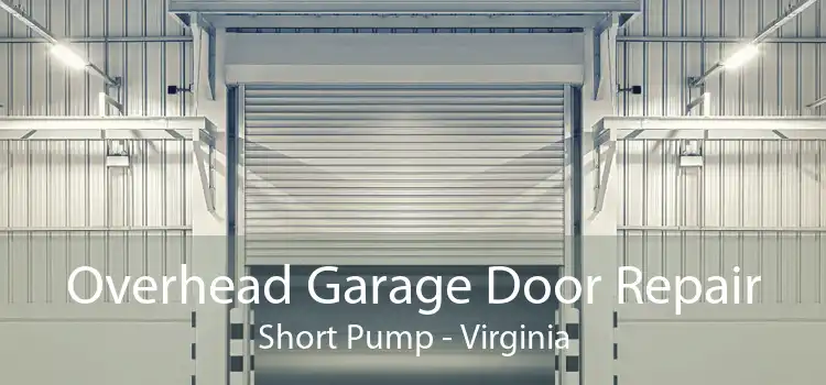 Overhead Garage Door Repair Short Pump - Virginia