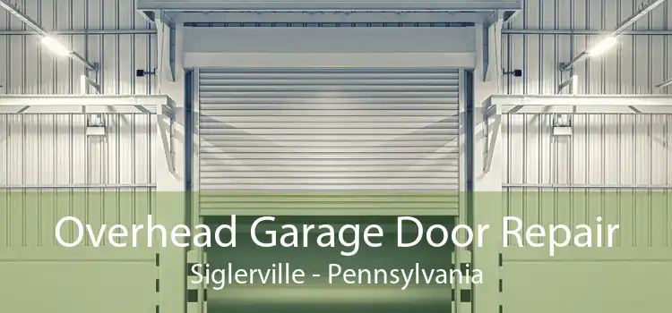 Overhead Garage Door Repair Siglerville - Pennsylvania