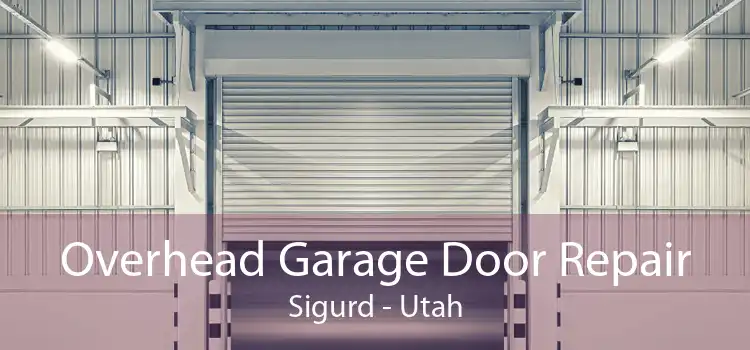 Overhead Garage Door Repair Sigurd - Utah
