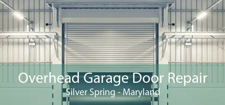 Overhead Garage Door Repair Silver Spring - Maryland