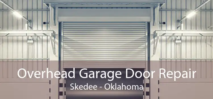 Overhead Garage Door Repair Skedee - Oklahoma