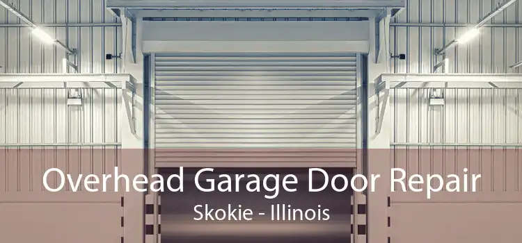 Overhead Garage Door Repair Skokie - Illinois