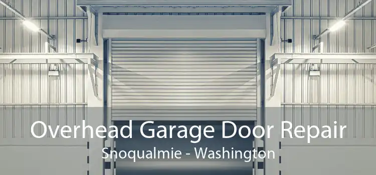Overhead Garage Door Repair Snoqualmie - Washington