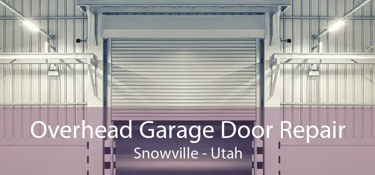 Overhead Garage Door Repair Snowville - Utah