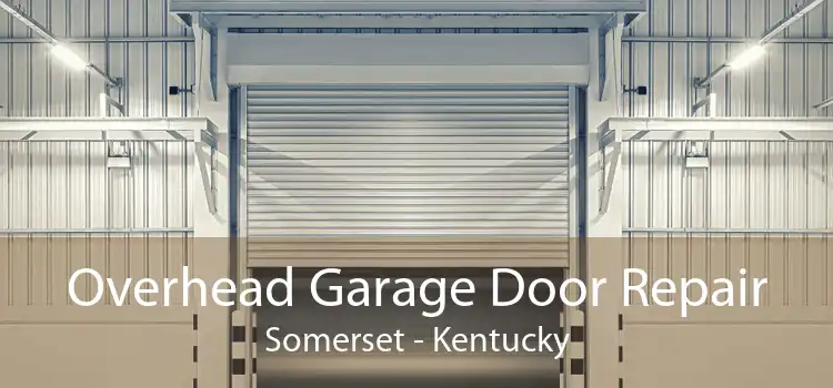 Overhead Garage Door Repair Somerset - Kentucky