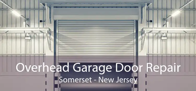 Overhead Garage Door Repair Somerset - New Jersey