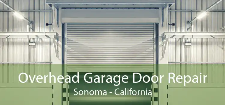 Overhead Garage Door Repair Sonoma - California