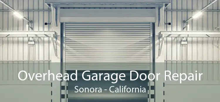 Overhead Garage Door Repair Sonora - California