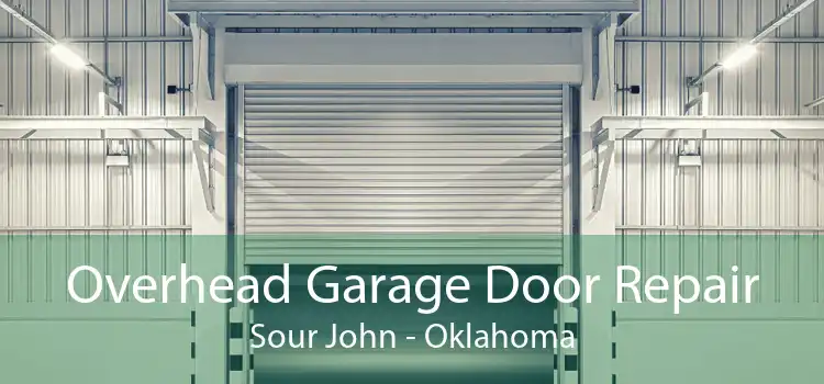 Overhead Garage Door Repair Sour John - Oklahoma