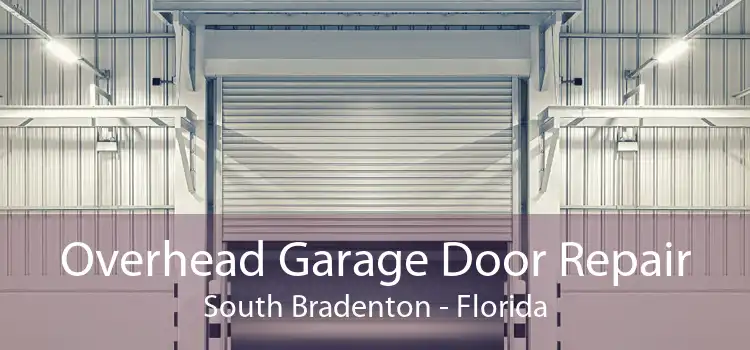 Overhead Garage Door Repair South Bradenton - Florida