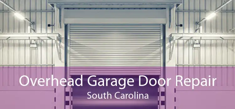 Overhead Garage Door Repair South Carolina