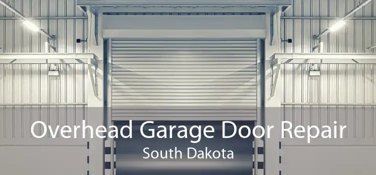 Overhead Garage Door Repair South Dakota