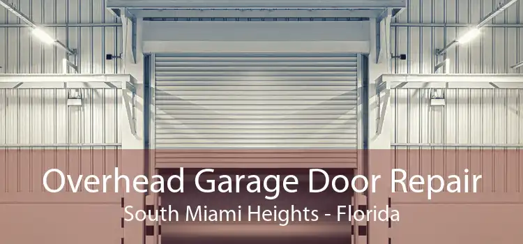 Overhead Garage Door Repair South Miami Heights - Florida